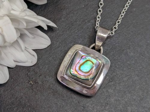 Vintage Abalone Pendant 2a