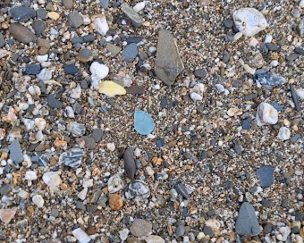 Sea Glass found on the beach