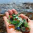 Beachcombing Cornwall