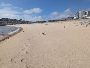Porthcressa Beach isles of scilly