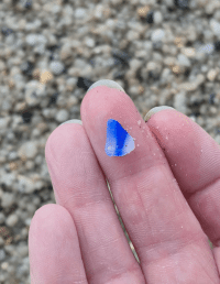 Blue & White multi sea glass found Pentewen Beach Cornwall