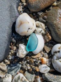 Turquoise sea glass