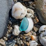 Sea Glass found on the beach